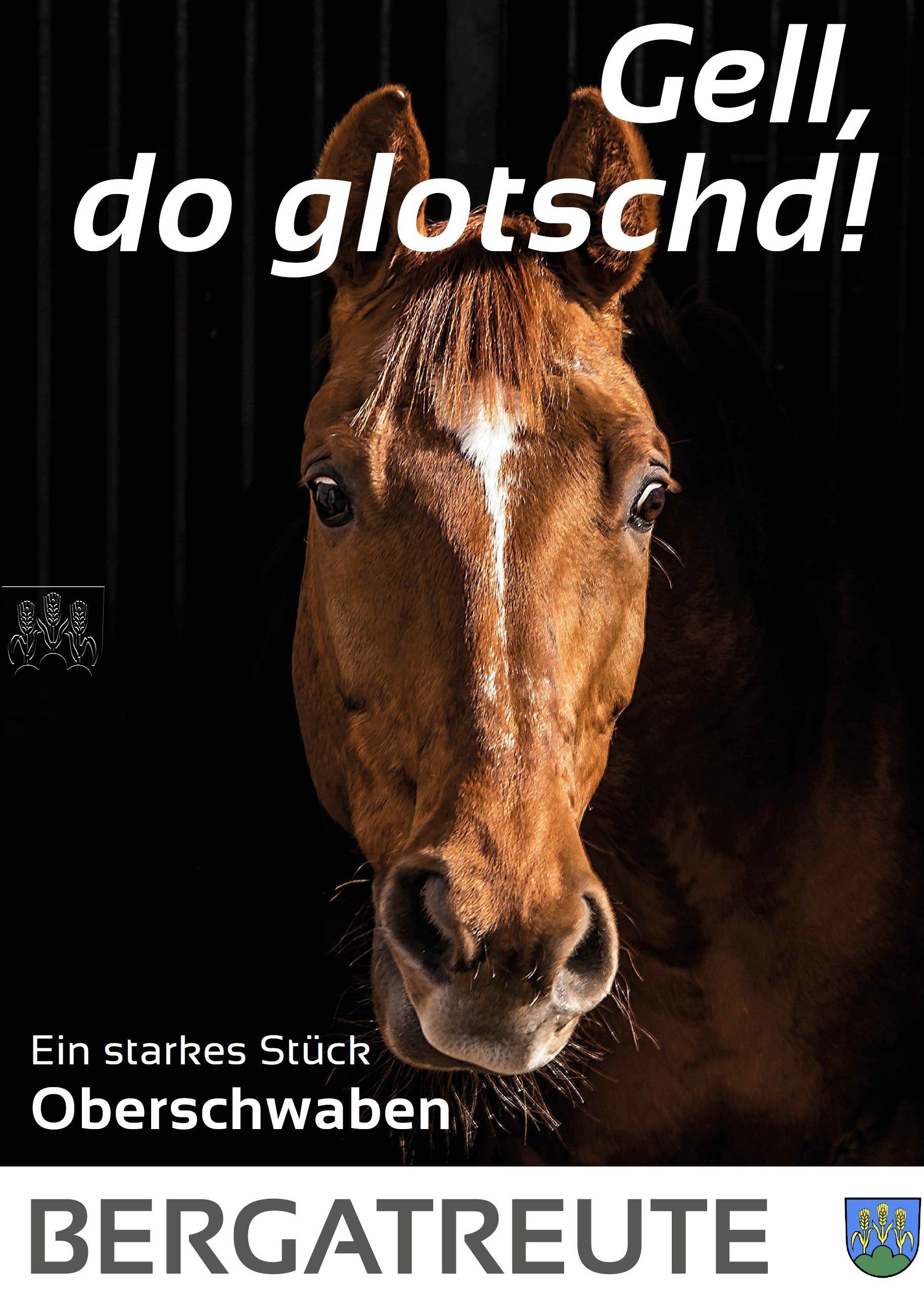  Plakat mit Pferdekopf und Titel: Gell, do glotschd! 