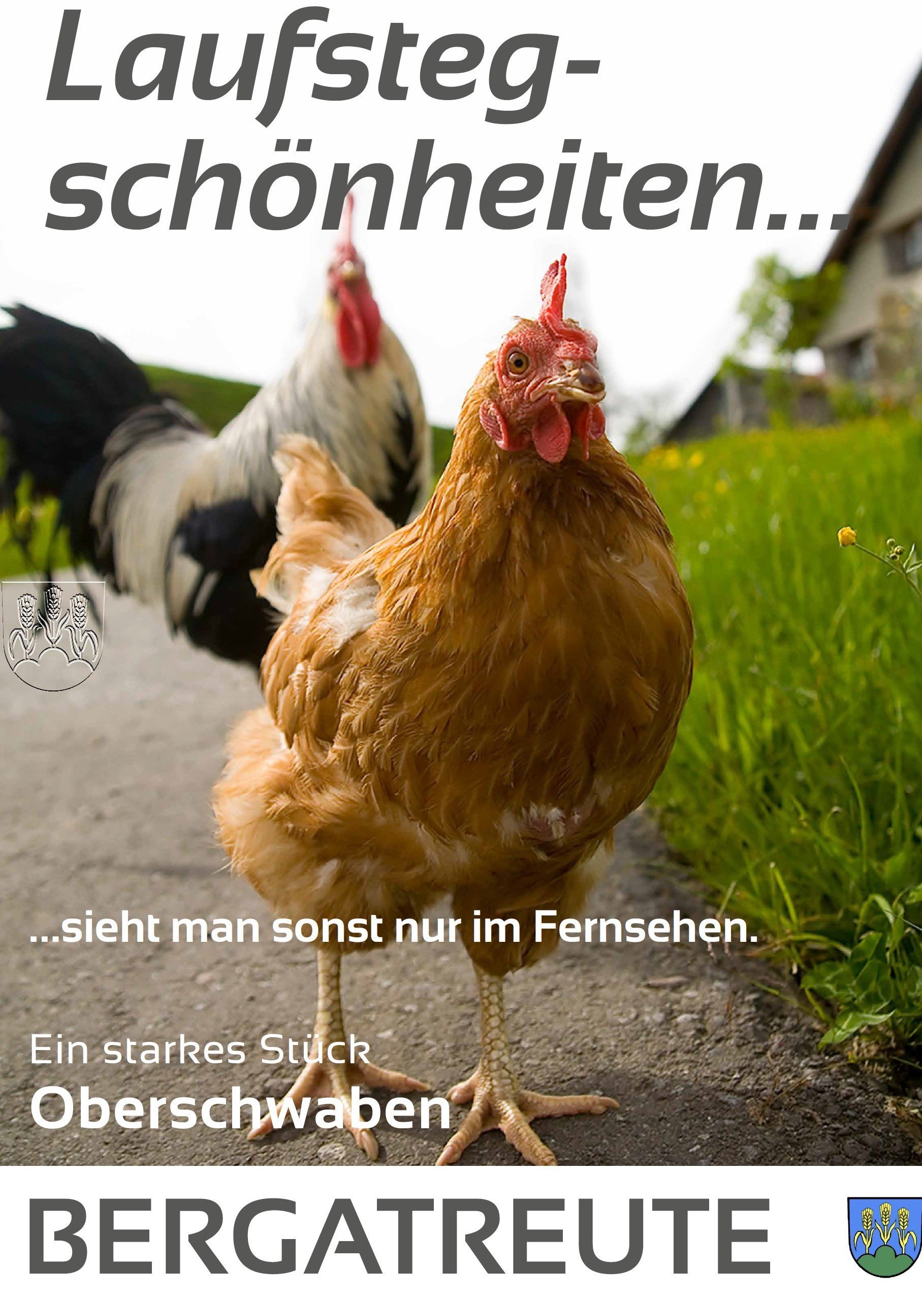  Plakat Henne und Hahn mit Titel: Laufstegschönheiten... sieht man sonst nur im Fernsehen 