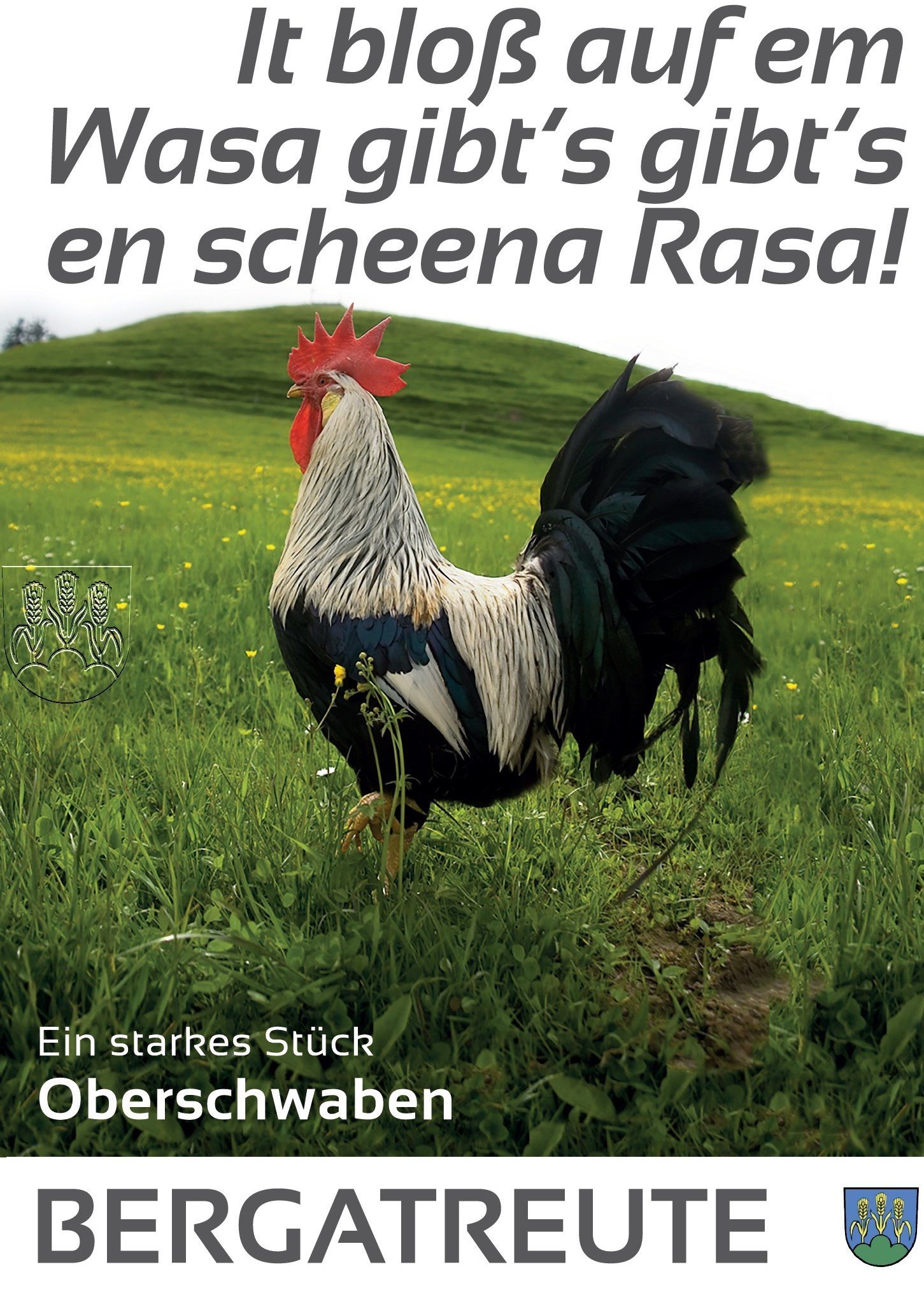  Plakat Hahn mit Spruch: It bloß auf em Wasa gibt´s en scheena Rasa! 