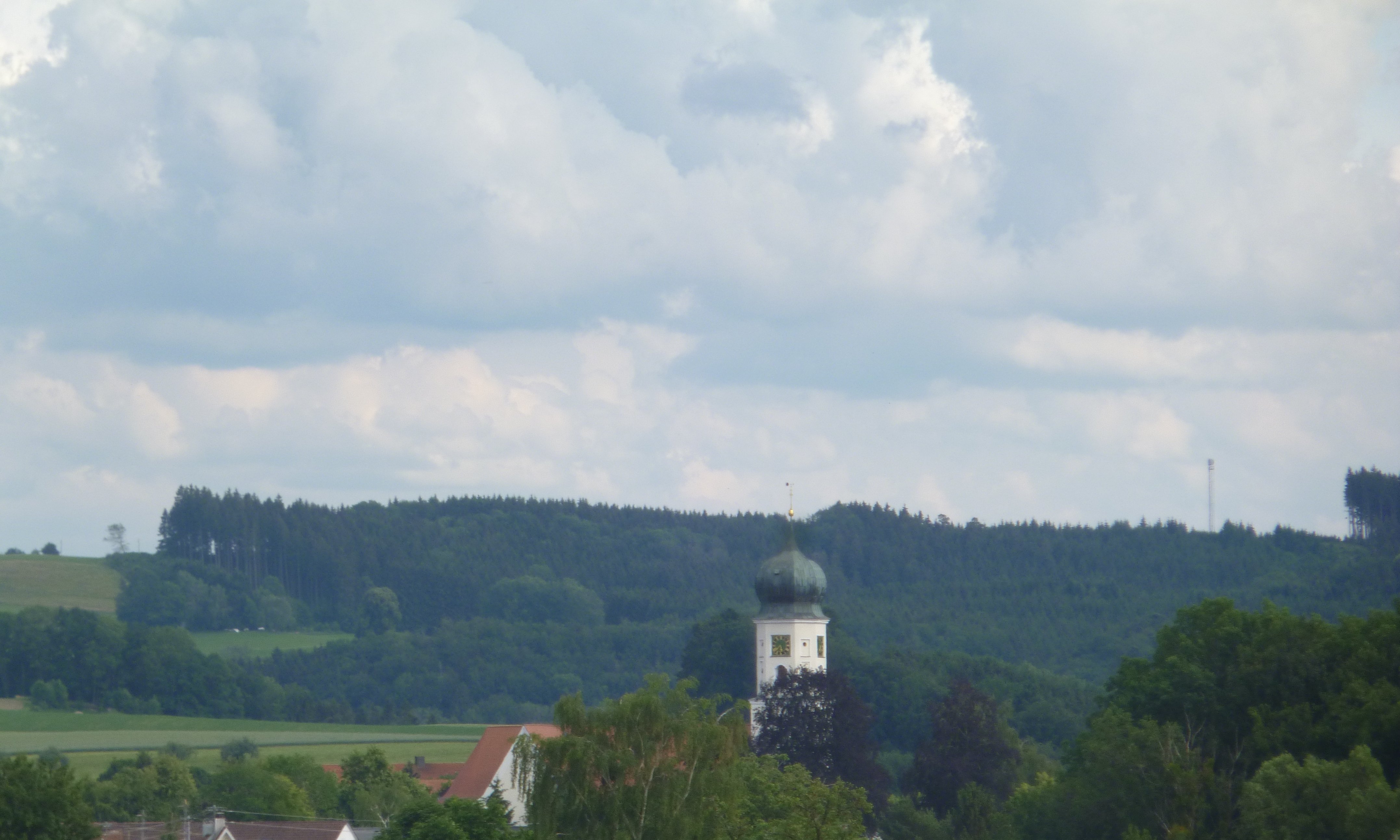  Kirchturm vom Riedhof aus gesehen 